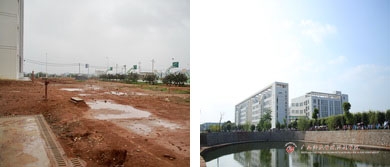 2011年以前的校園綠化-如今的校園綠化