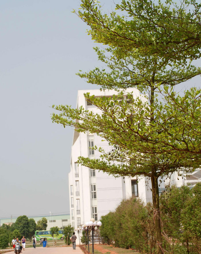 叢林教學(xué)樓
